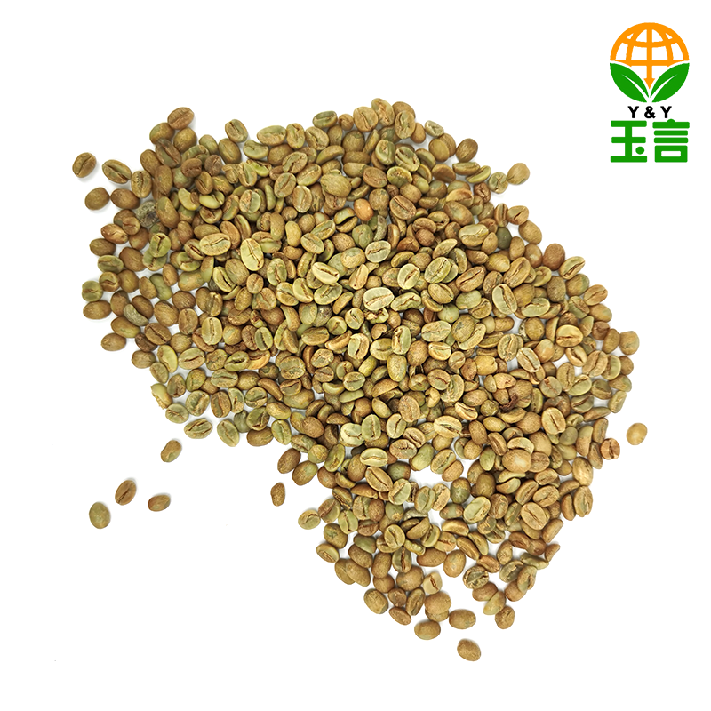 Small Coffee Bean ···