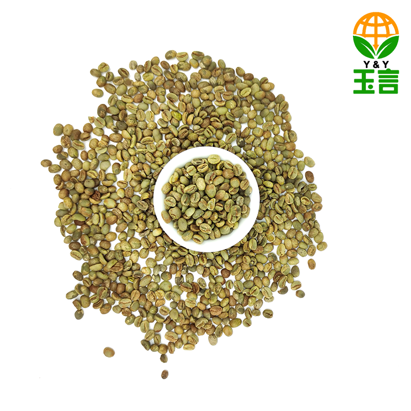 Hot Sale YCRS02 Arabica Coffee Beans High Quality Green Beans From China