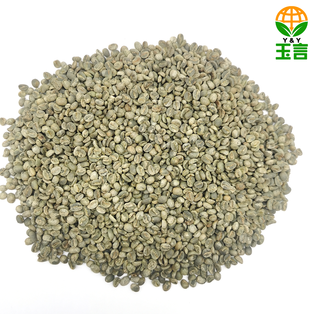 Superior 100% Arabica YCSX01 Coffee Beans Washed Process Green Coffee Beans for Sale