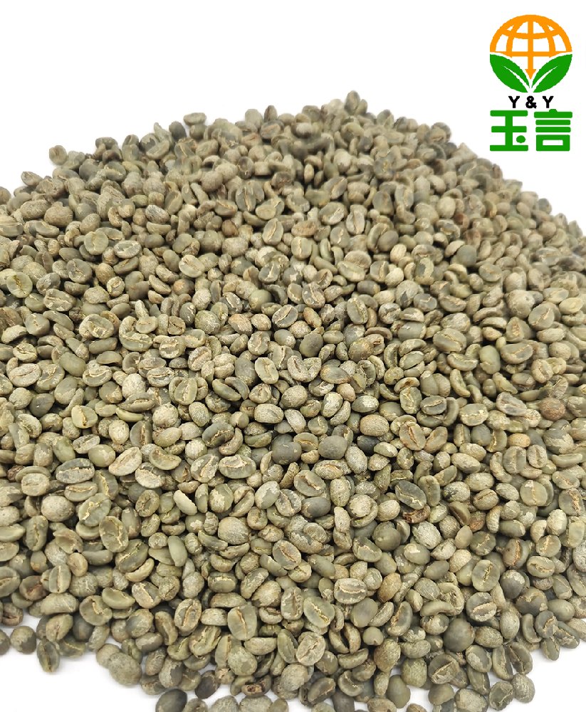 Green Coffee Beans YCSX02 100% Arabica Washed High Quality Wholesale